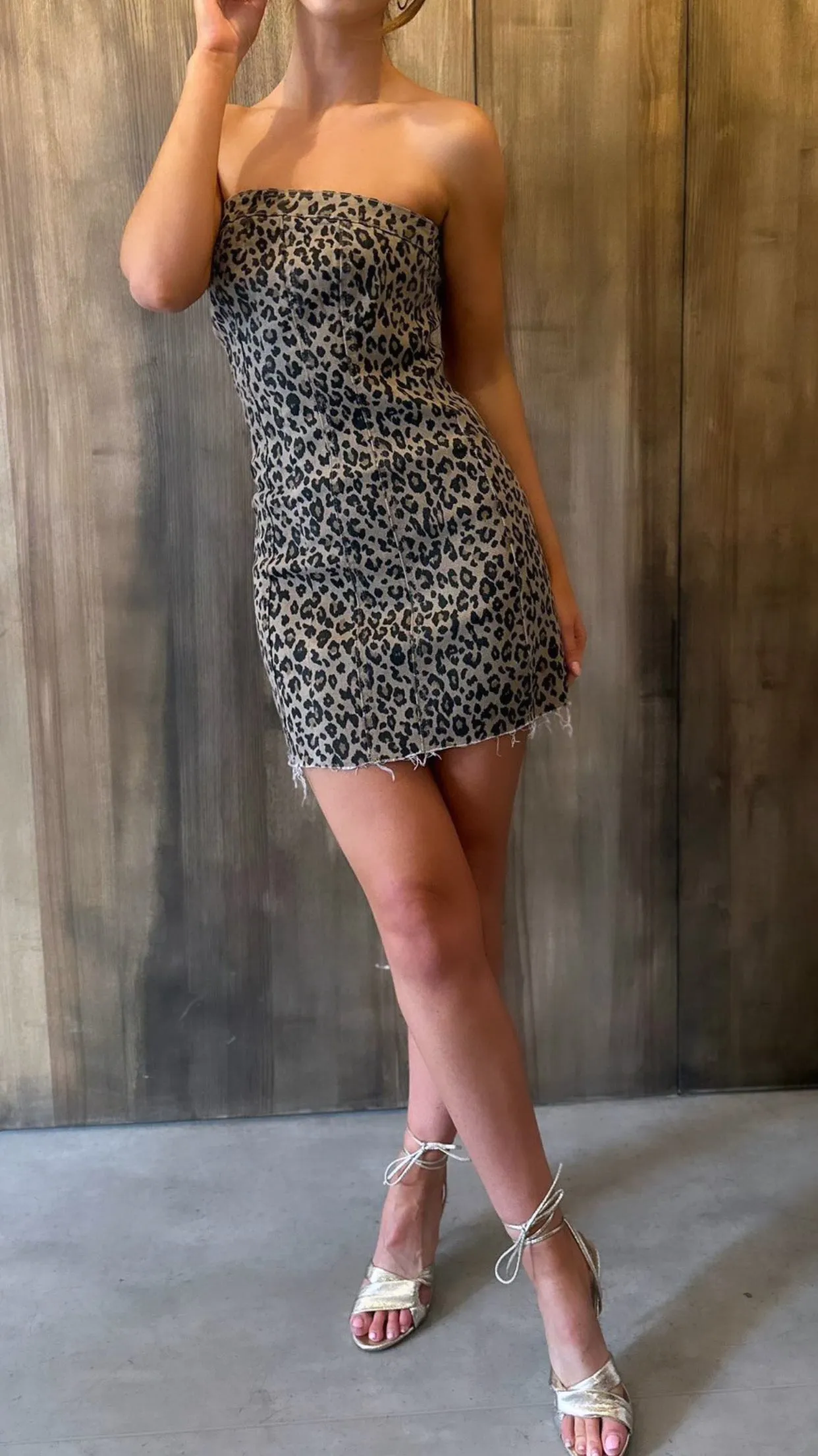 Charlotte Beige Leopard Print Bandeau Mini Dress